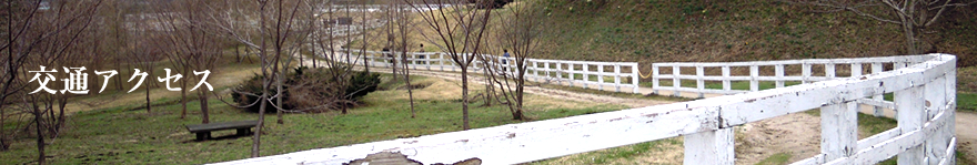 ��ʃA�N�Z�X